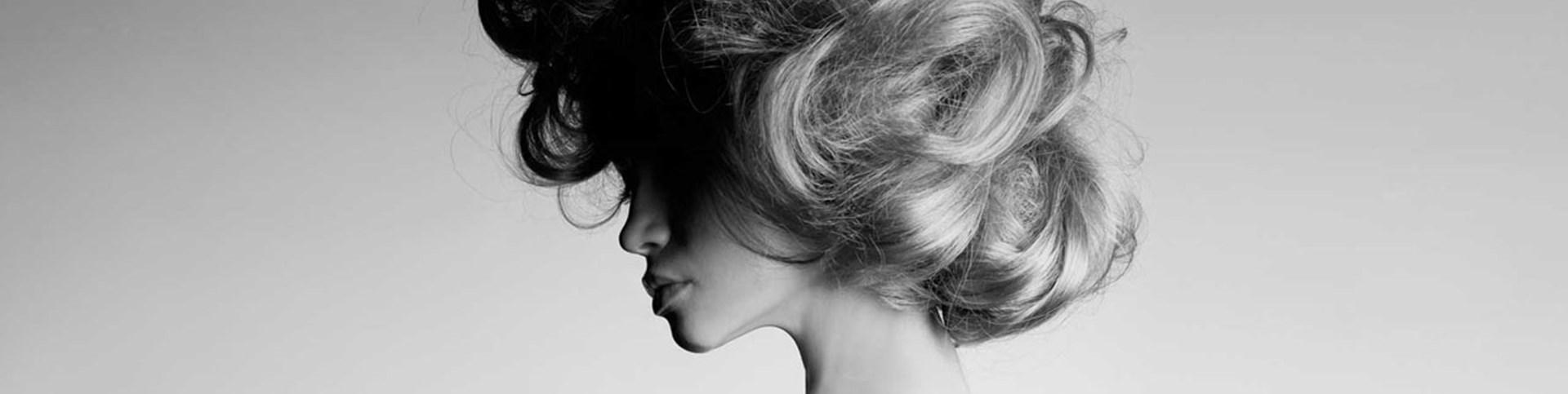 gelderlandplein q hairclub
